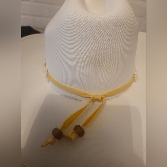 Brand new Peter Grimm classic westerns daisy cowgirl hat main image 5